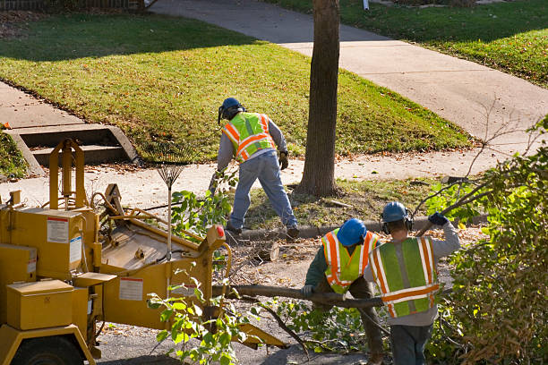 Lawn Irrigation Installation and Maintenance in Fort Pierce North, FL